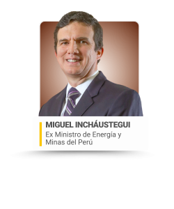 EC 2026 - COMITÉ ASESOR GUBERNATIVO PARA WEB (1)