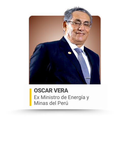 EC 2026 - COMITÉ ASESOR GUBERNATIVO PARA WEB (3)