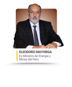 EC 2026 - COMITÉ ASESOR GUBERNATIVO PARA WEB (4)