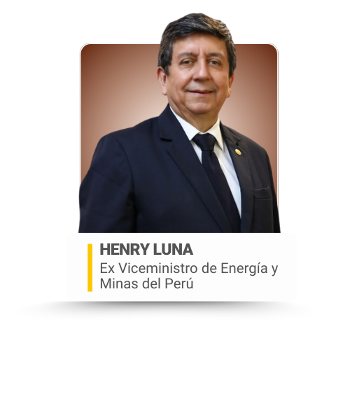 EC 2026 - COMITÉ ASESOR GUBERNATIVO PARA WEB (5)