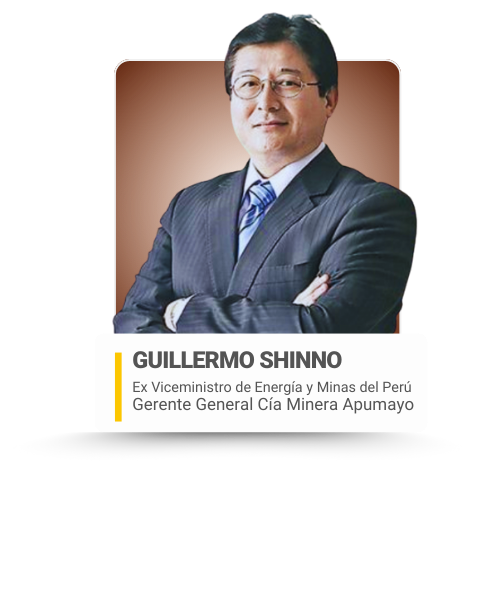 EC 2026 - COMITÉ ASESOR GUBERNATIVO PARA WEB (6)