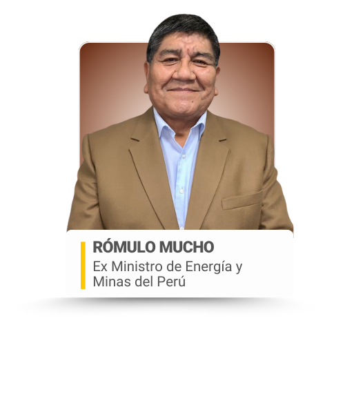 EC 2026 - COMITÉ ASESOR GUBERNATIVO PARA WEB